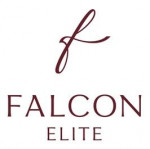 Falcon Elite LLC. (DWC) logo